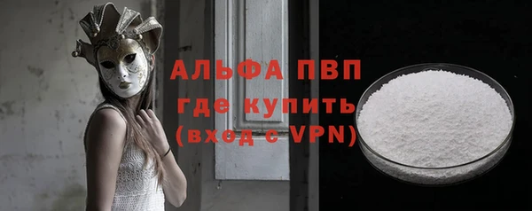 дмт Богданович