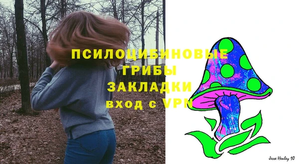 шишки Вязники