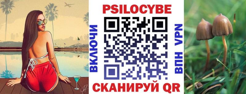 Псилоцибиновые грибы Psilocybine cubensis  Вилючинск 